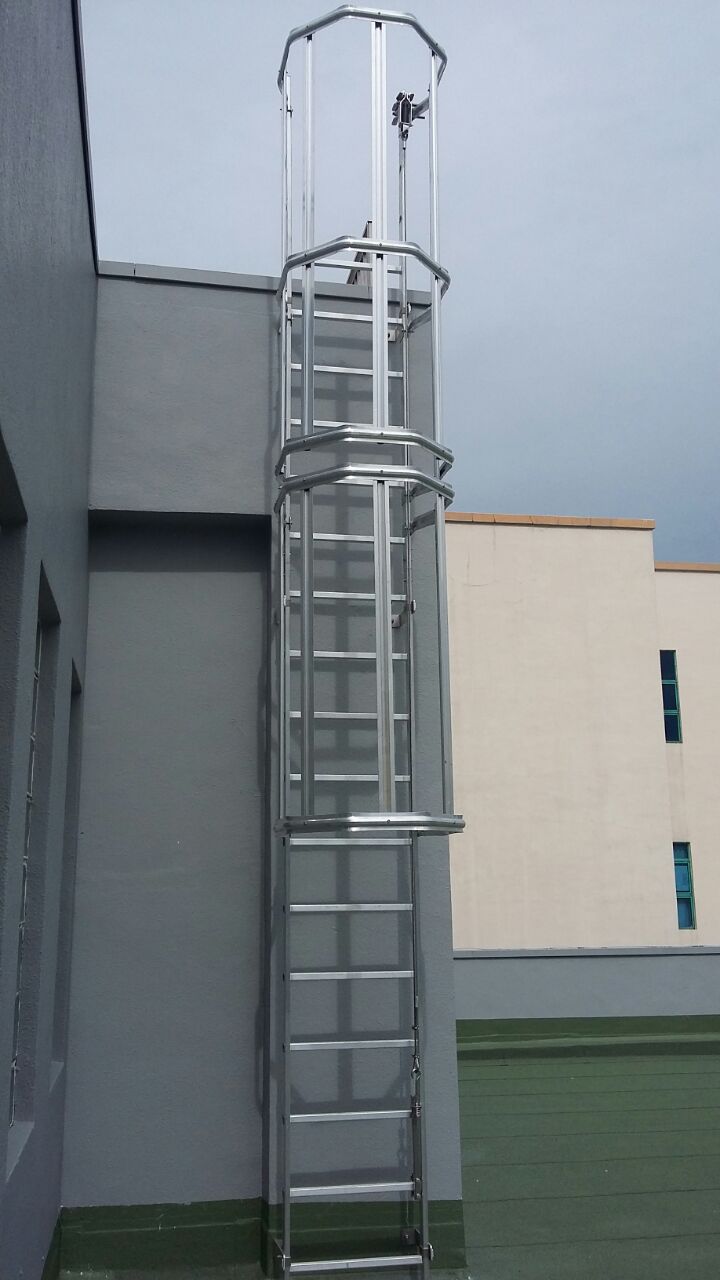 Safety Cage Ladders MIXCO Industry