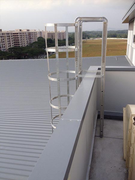 Safety Cage Ladders – MIXCO Industry