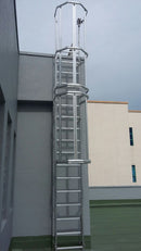 Safety Cage Ladders